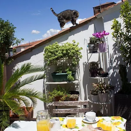 Bed & Breakfast Casanova *