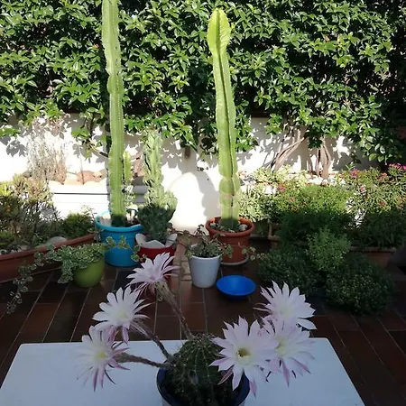 Bed & Breakfast Casanova Verona